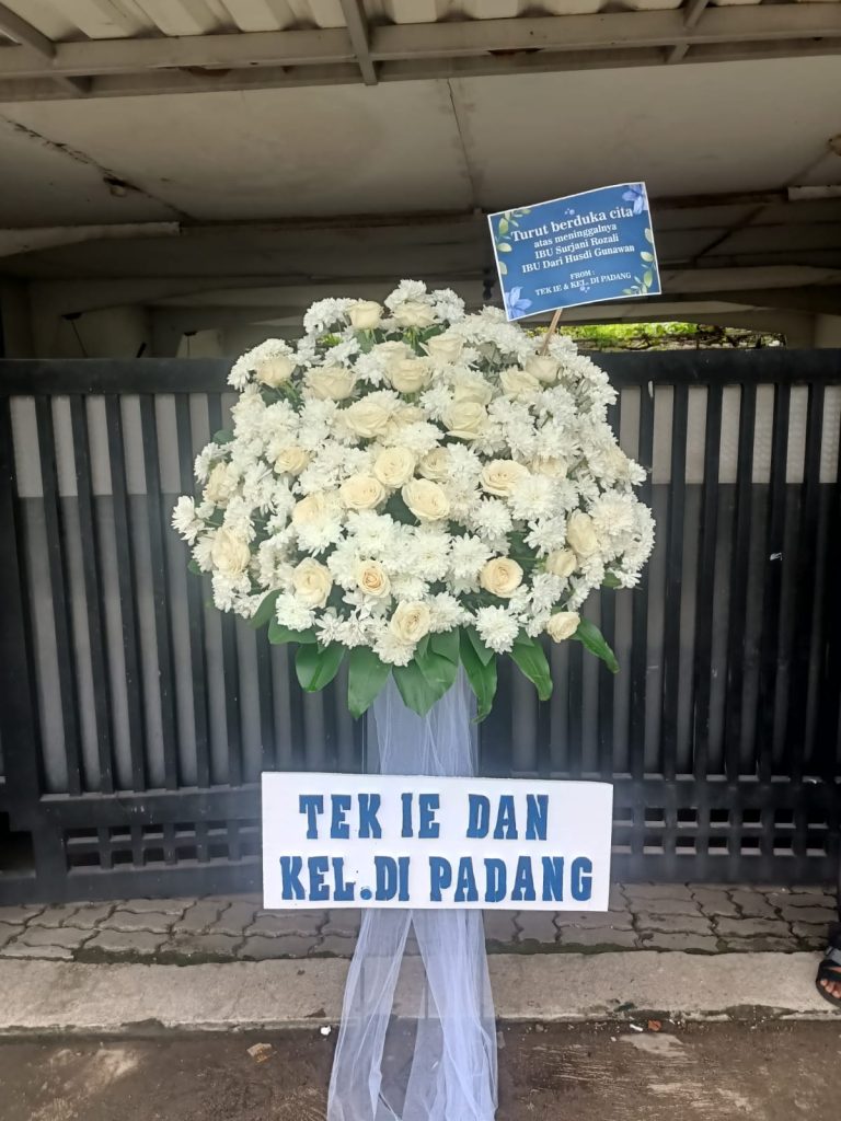 WhatsApp Image 2026-01-02 at 15.04.40 (1)